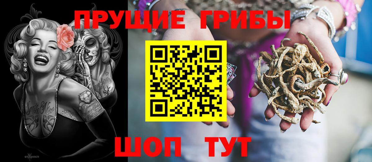 Псилоцибиновые грибы Psilocybine cubensis  Вход с VPN  Сунжа 