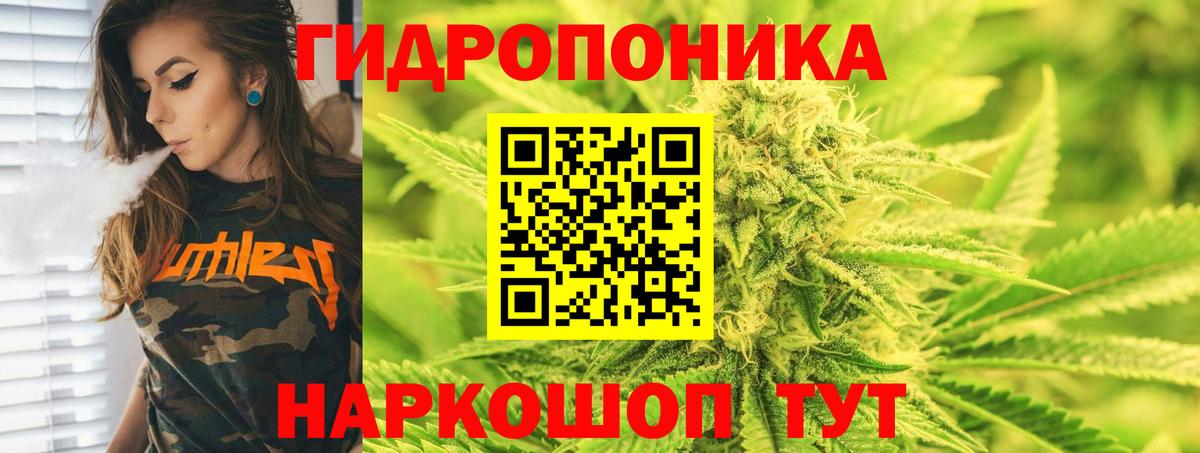 Конопля VHQ Сунжа