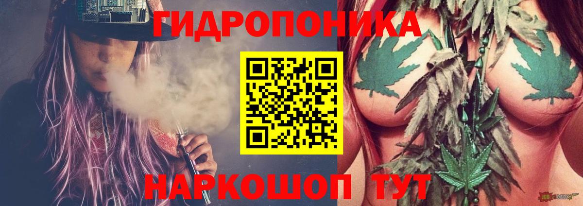 Бошки Шишки MAZAR  Вход с VPN  МАРИХУАНА планчик  Сунжа  Бошки марихуана планчик 